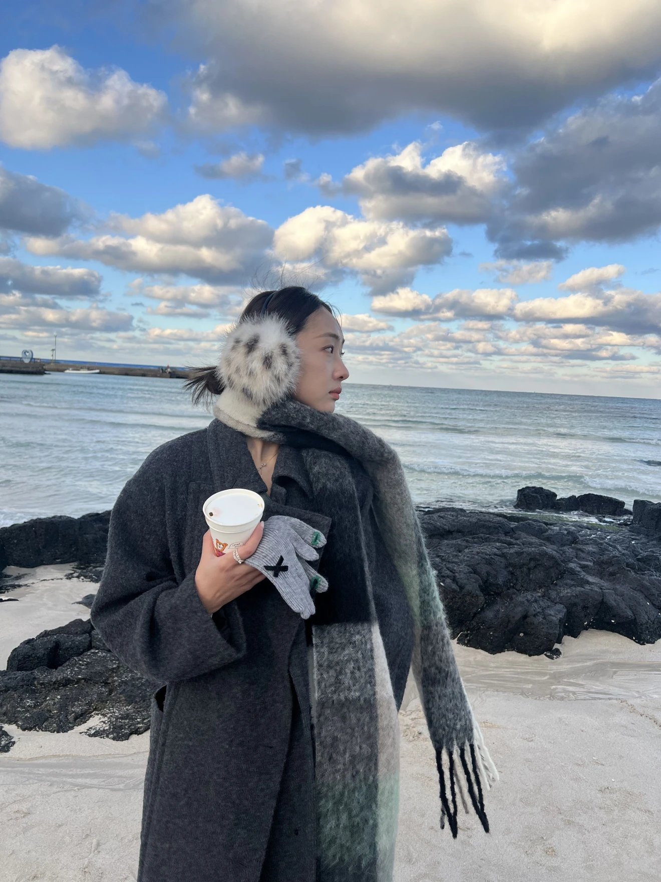 RD-A003 · Brushed Check Fringe Scarf showcase view 7
