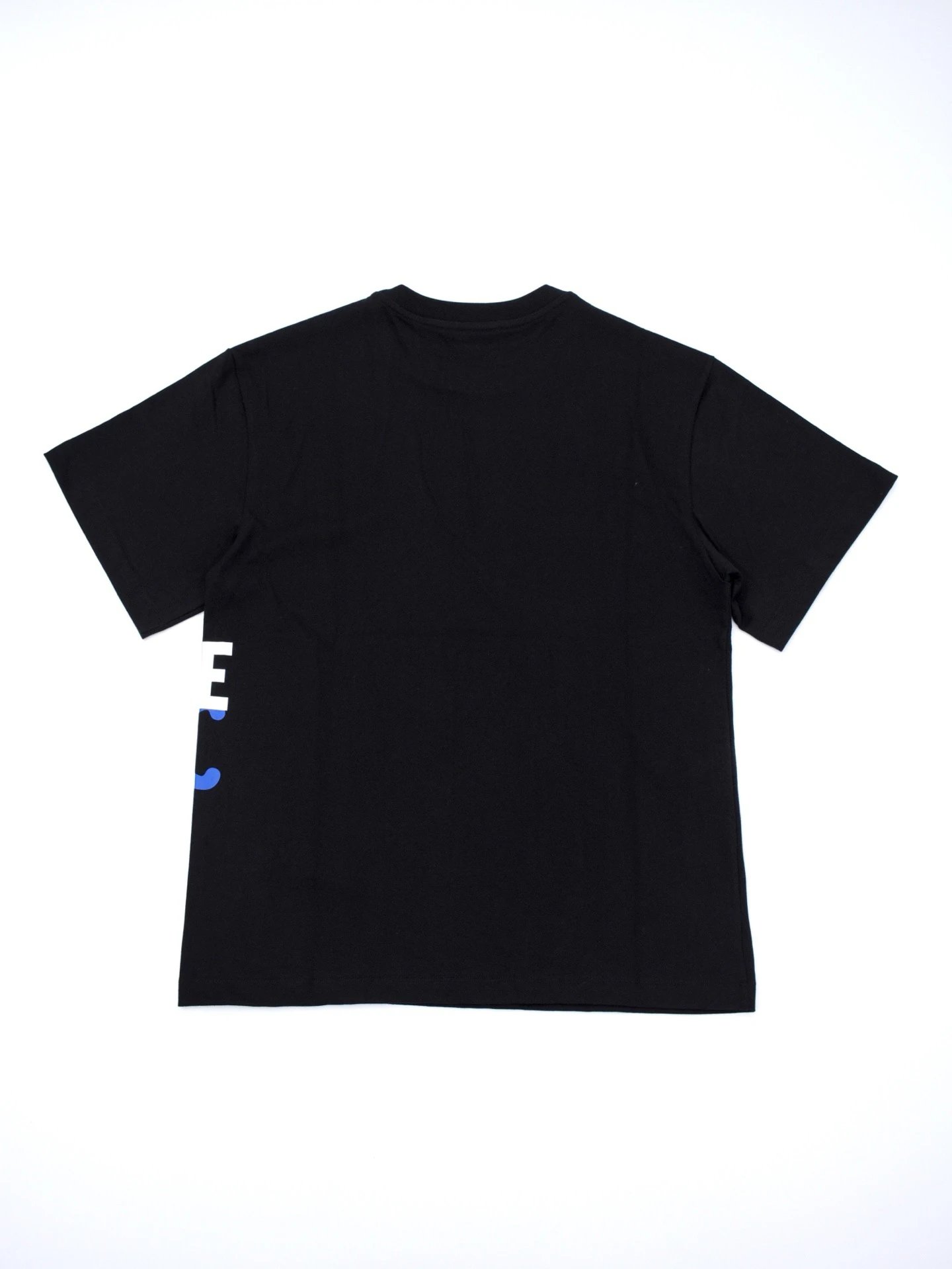RD-C115 · Logo Cotton Crew-Neck T-Shirt showcase view 9