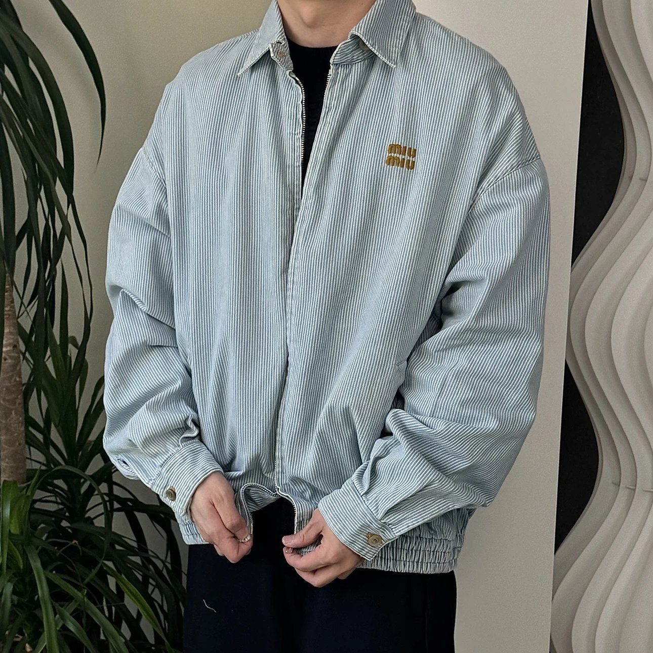 RD-C038 · Embroidered Striped Denim Blouson Jacket showcase view 1