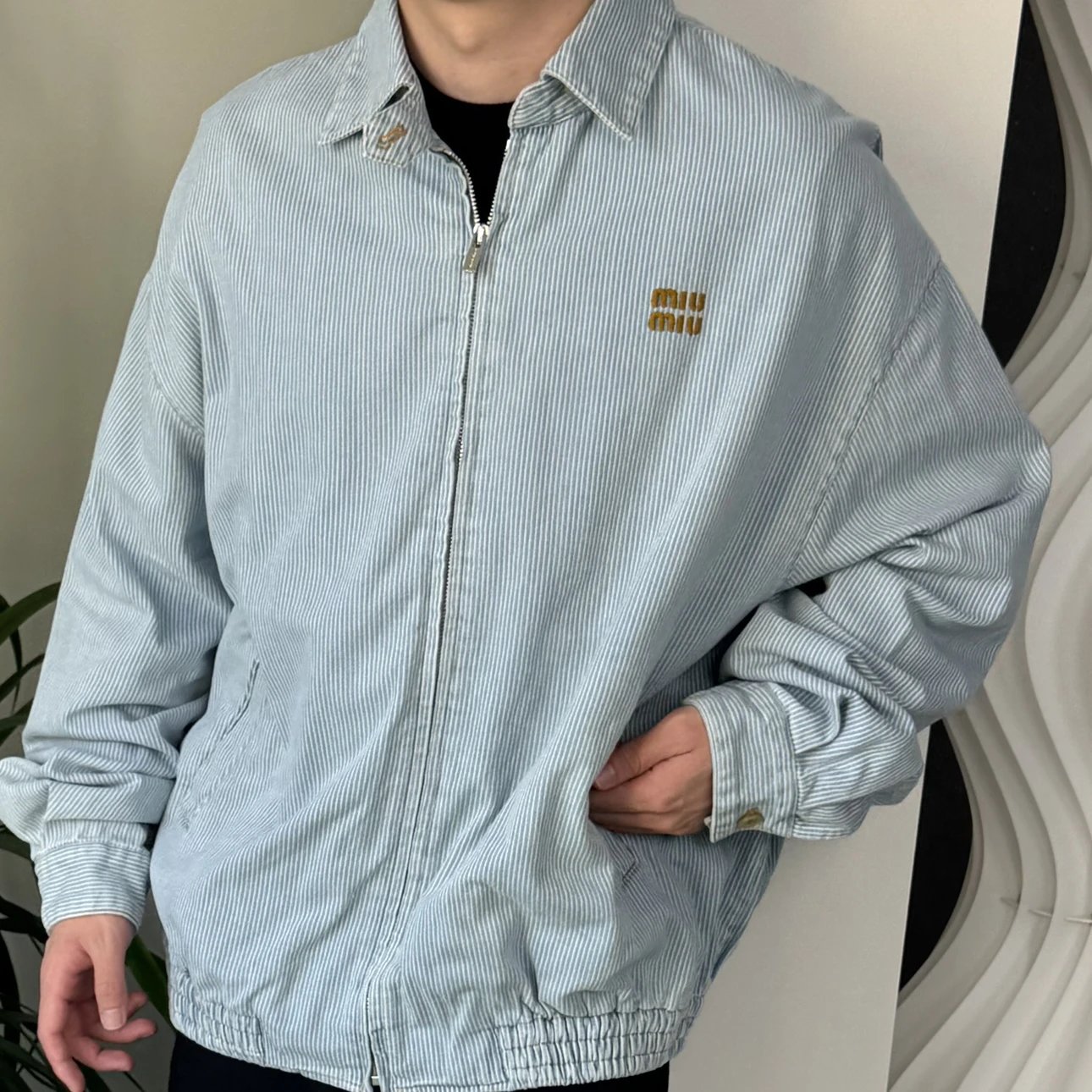 RD-C038 · Embroidered Striped Denim Blouson Jacket showcase view 3