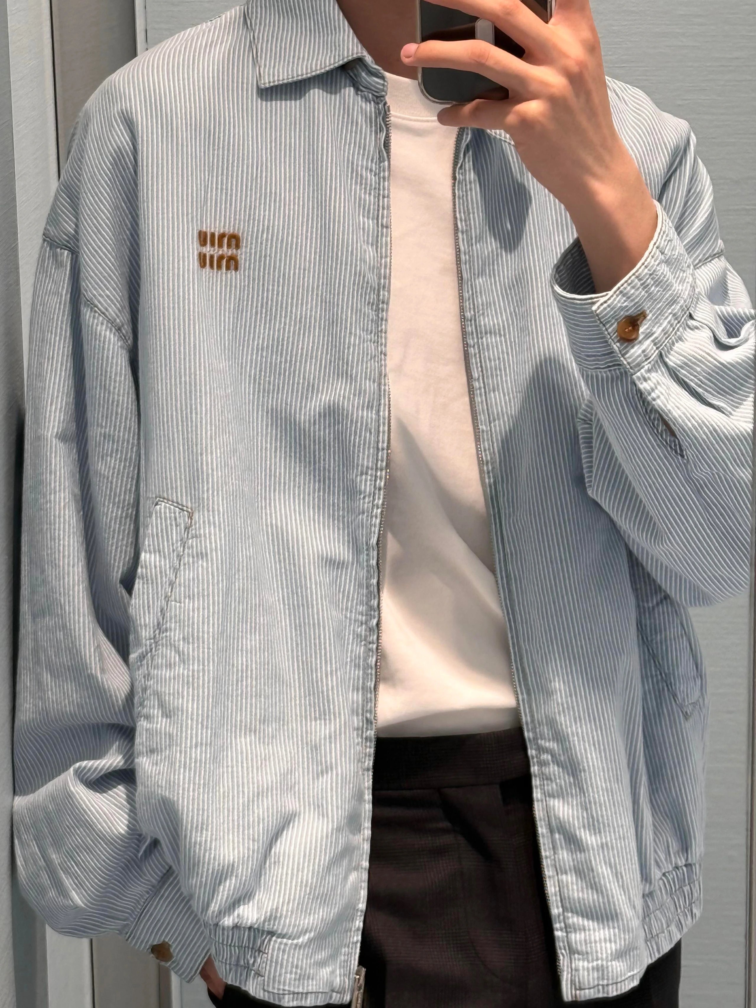 RD-C038 · Embroidered Striped Denim Blouson Jacket showcase view 2