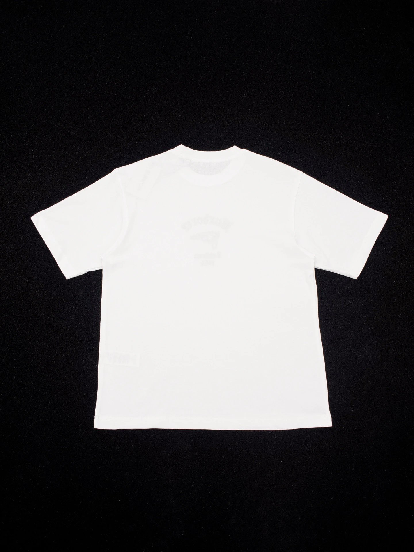 RD-C127 · Gothic Flag Embroidered Cotton T-Shirt showcase view 7