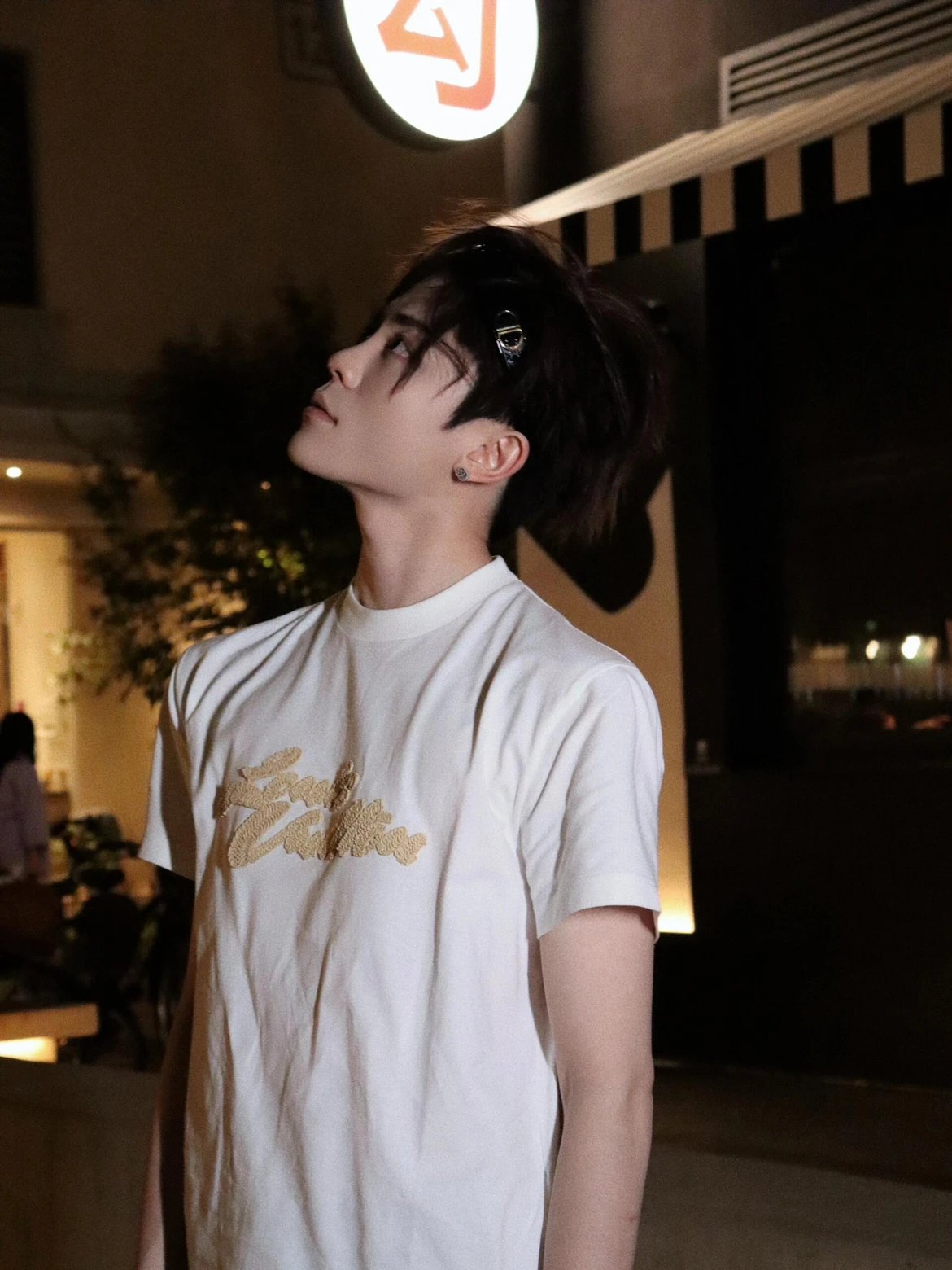 RD-C141 · Early Autumn Embroidered T-Shirt — Black & White showcase view 13