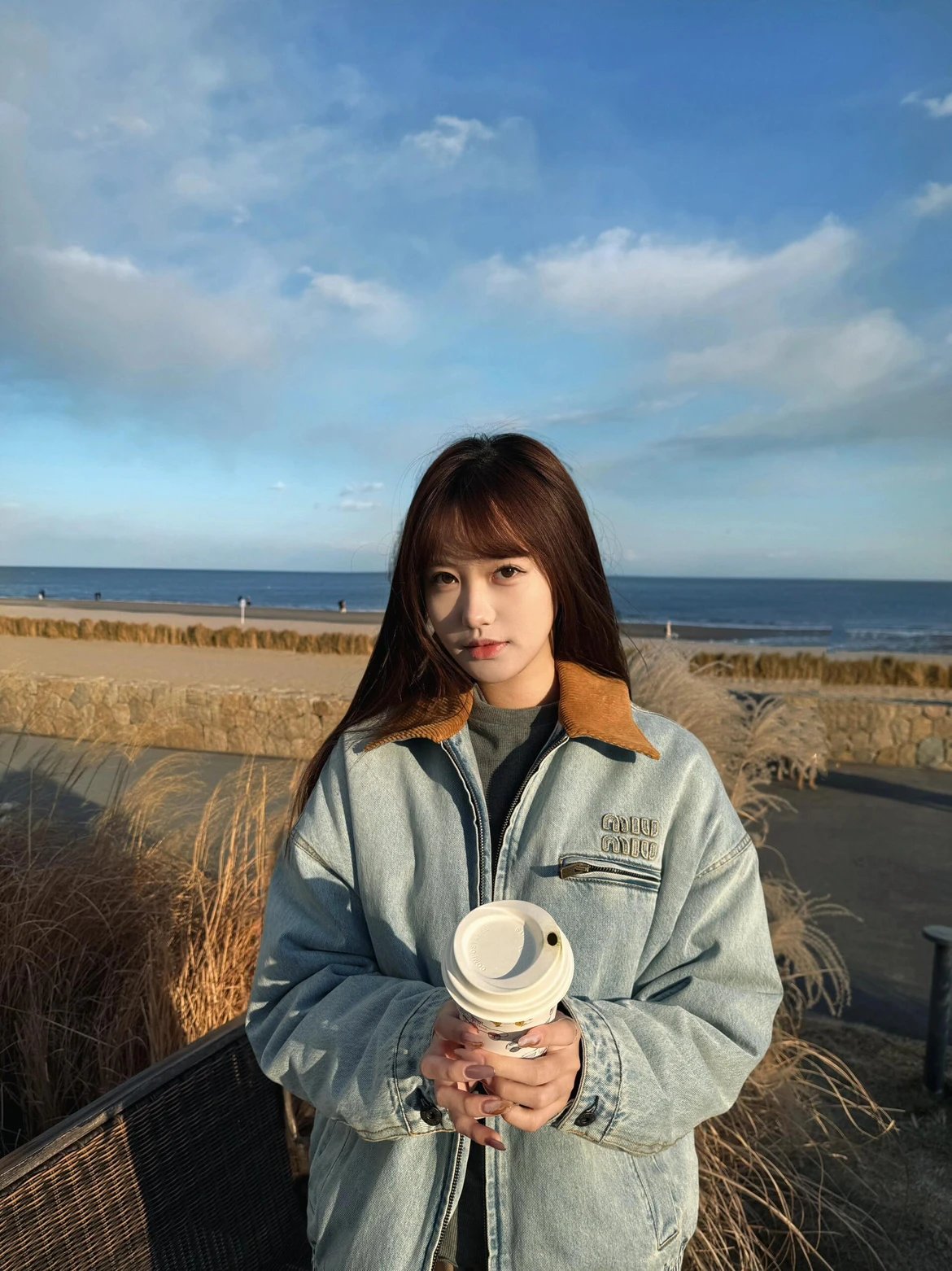 RD-C319 · Sky-Blue Denim Collar Padded Jacket showcase view 8