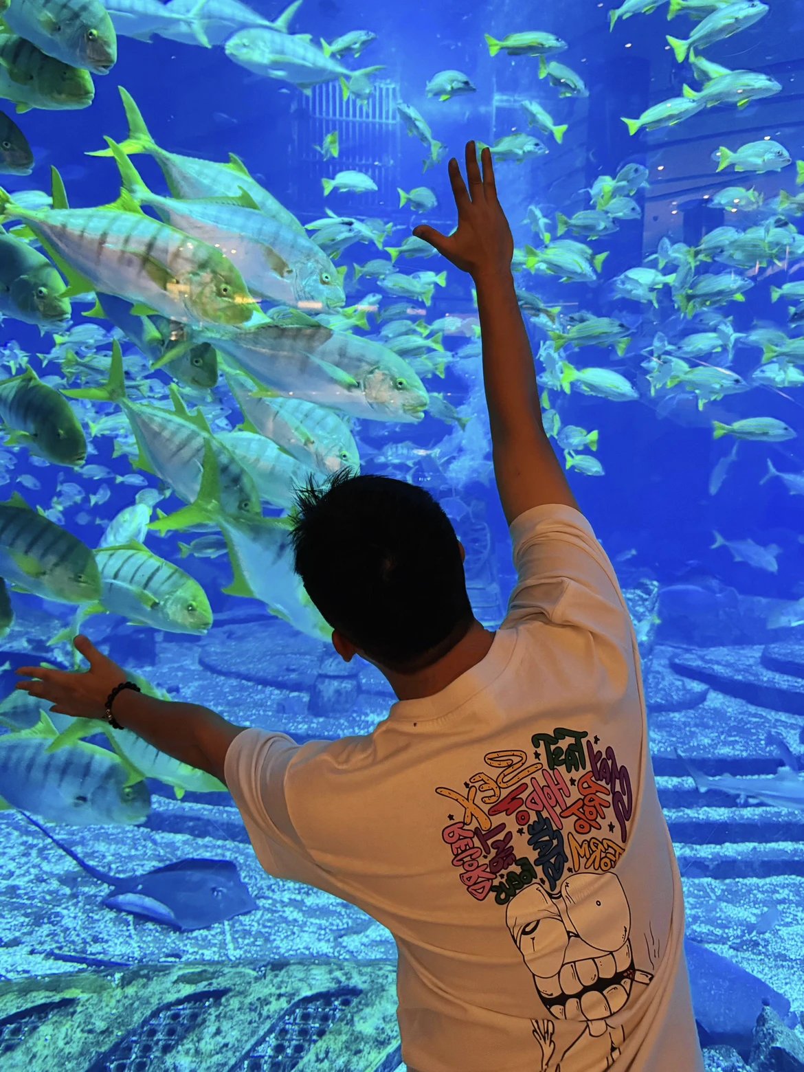RD-C150 · Graphic Crew-Neck T-Shirt – White showcase view 11