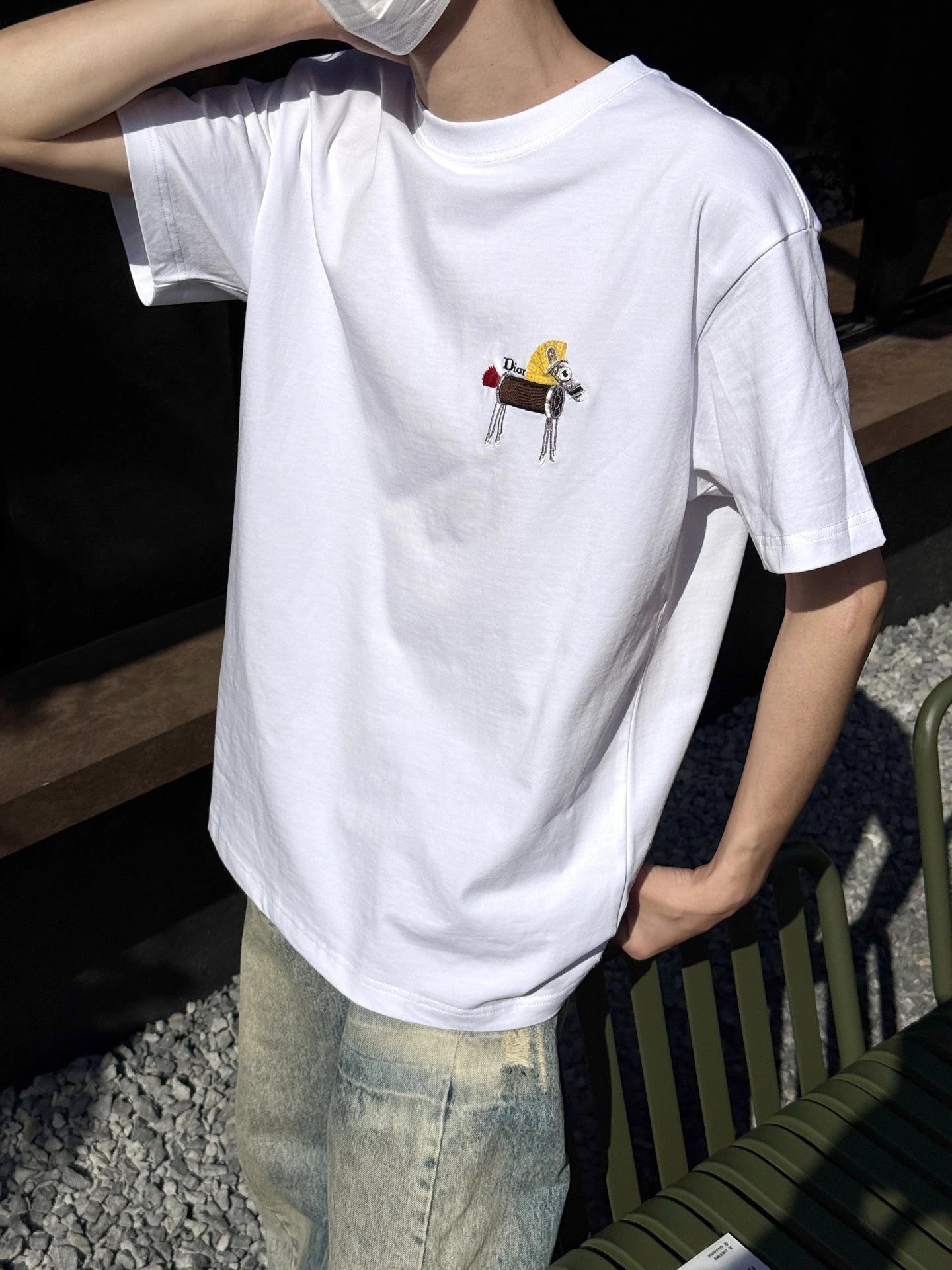 RD-C155 · Pony Embroidered Relaxed Cotton T-Shirt showcase view 3