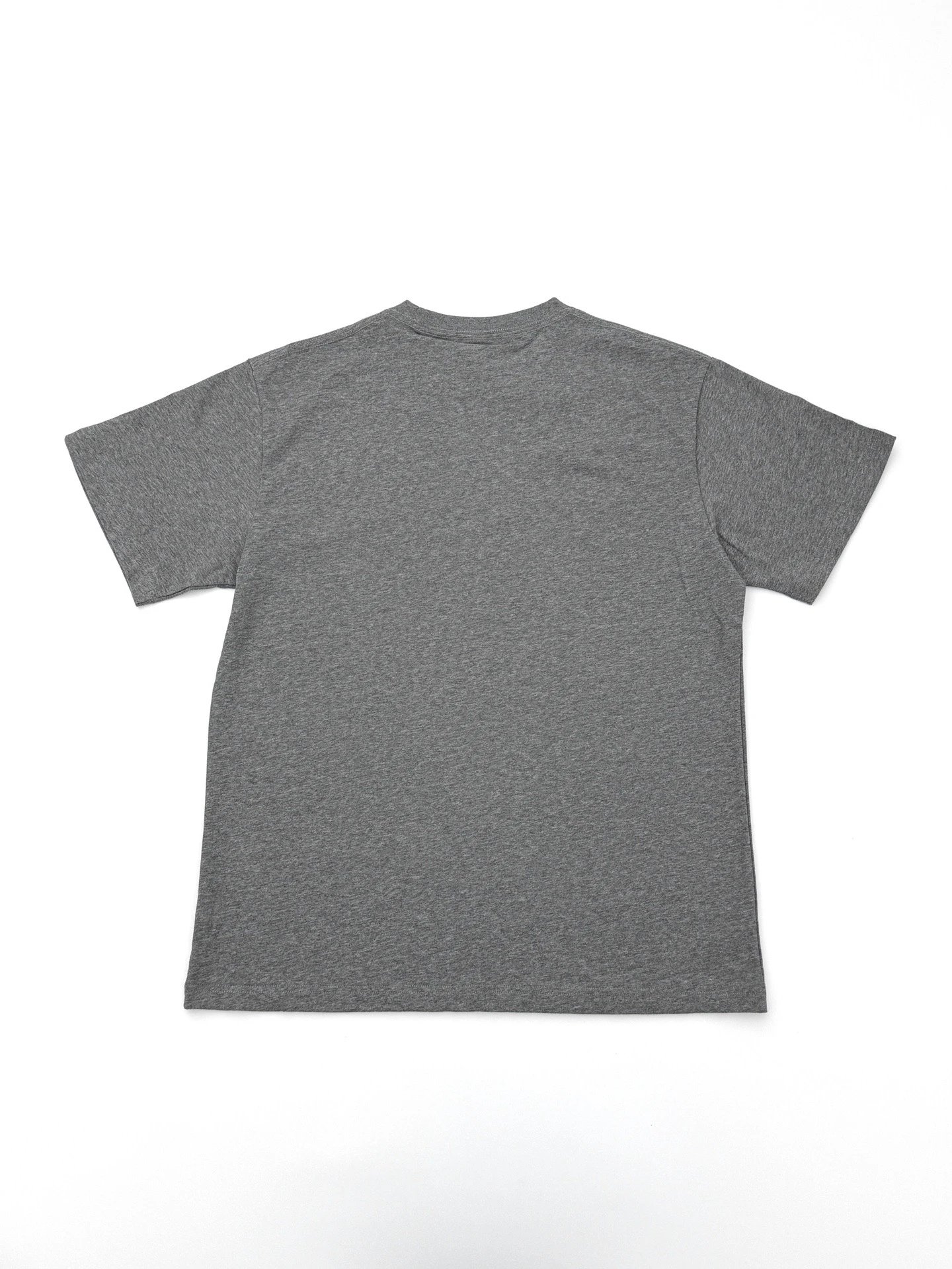 RD-C155 · Pony Embroidered Relaxed Cotton T-Shirt showcase view 21