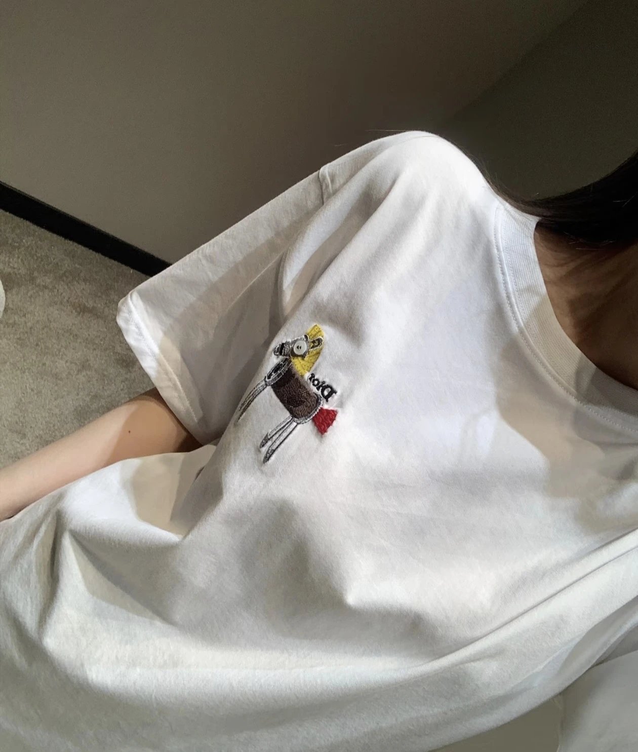 RD-C155 · Pony Embroidered Relaxed Cotton T-Shirt showcase view 22