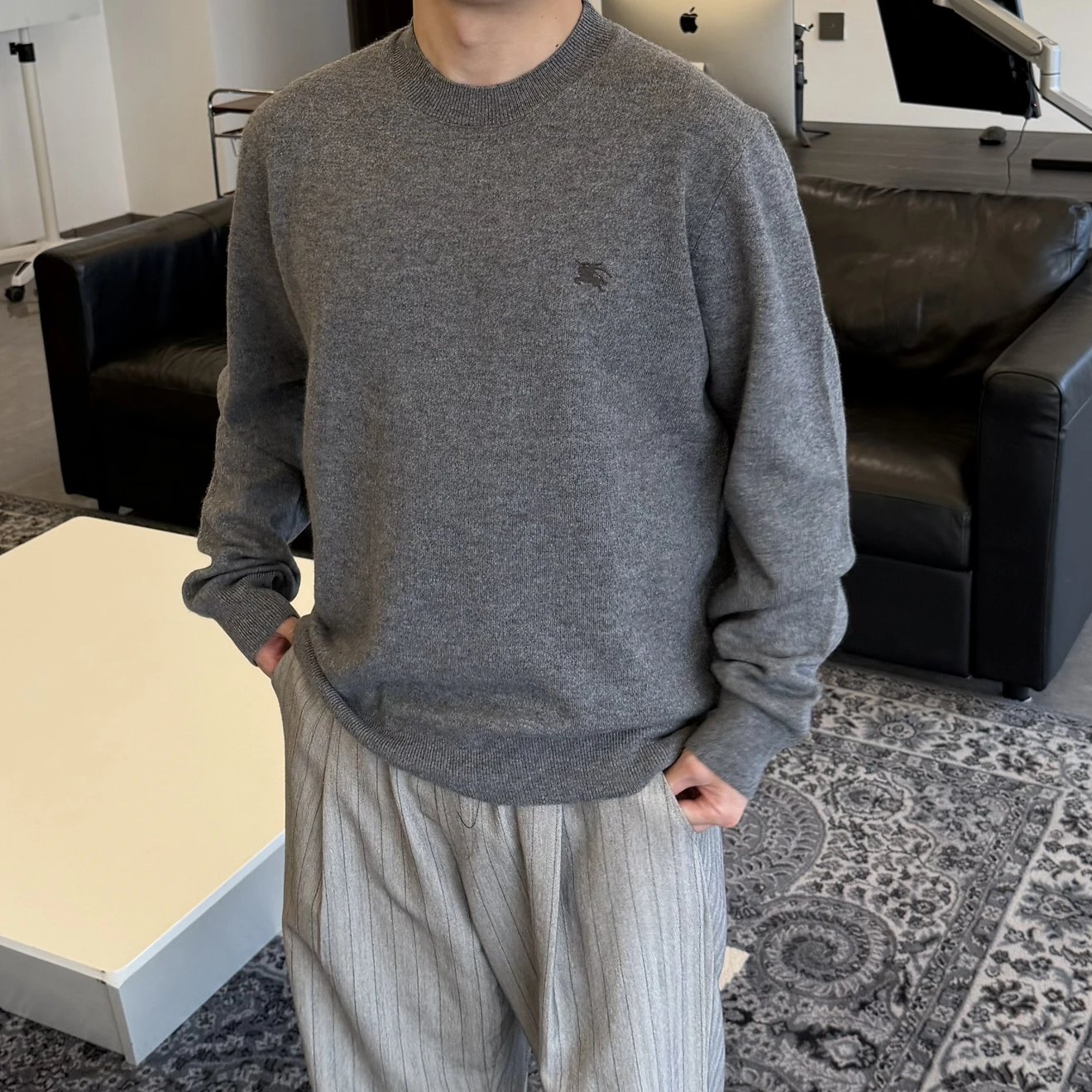 RD-C399 · Classic Grey Embroidered Cashmere-Blend Crewneck showcase view 2