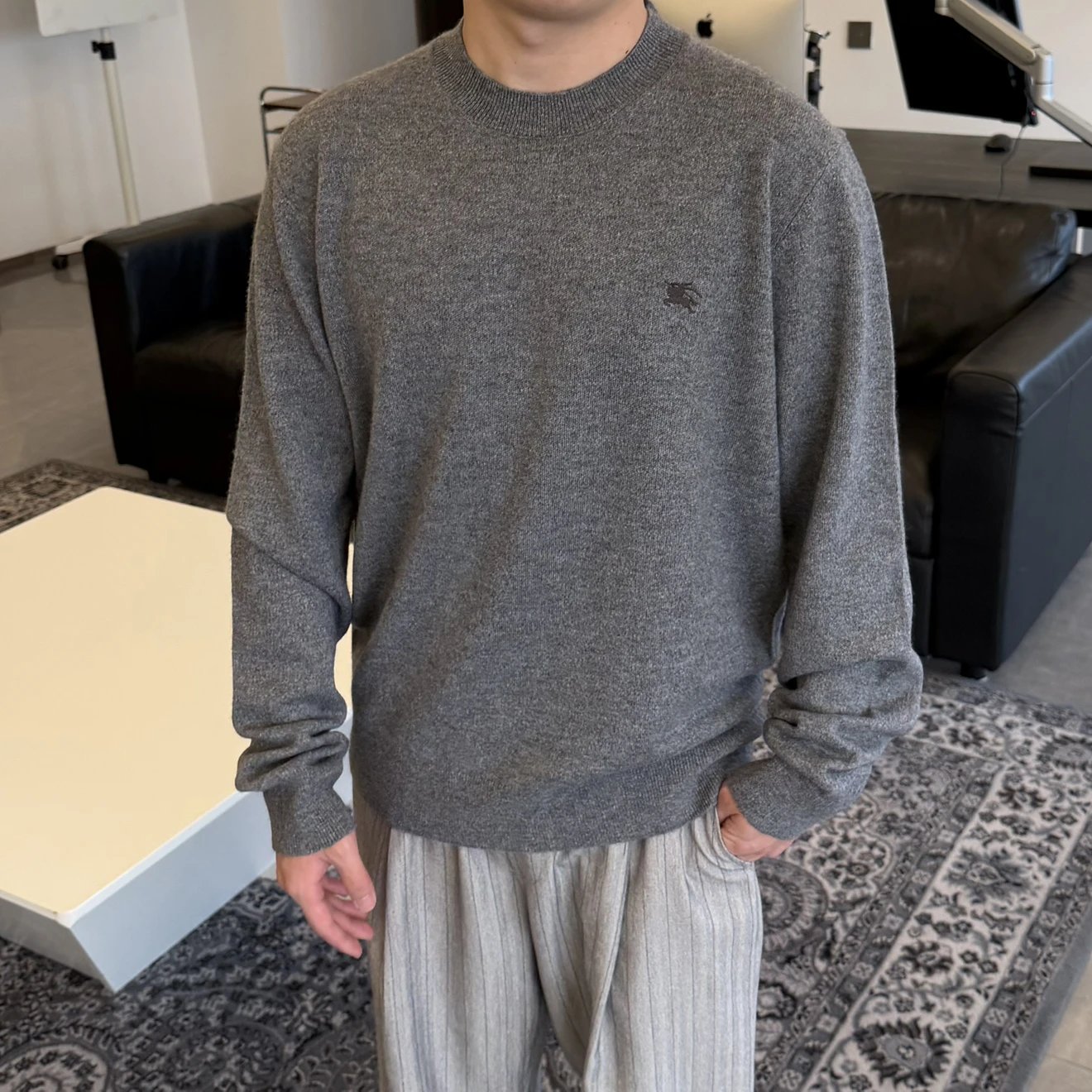 RD-C399 · Classic Grey Embroidered Cashmere-Blend Crewneck showcase view 8