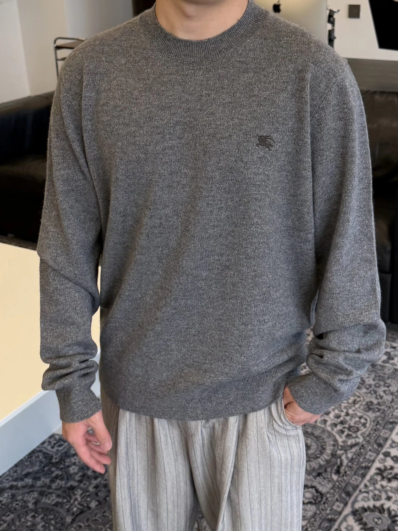 RD-C399 · Classic Grey Embroidered Cashmere-Blend Crewneck showcase view 11