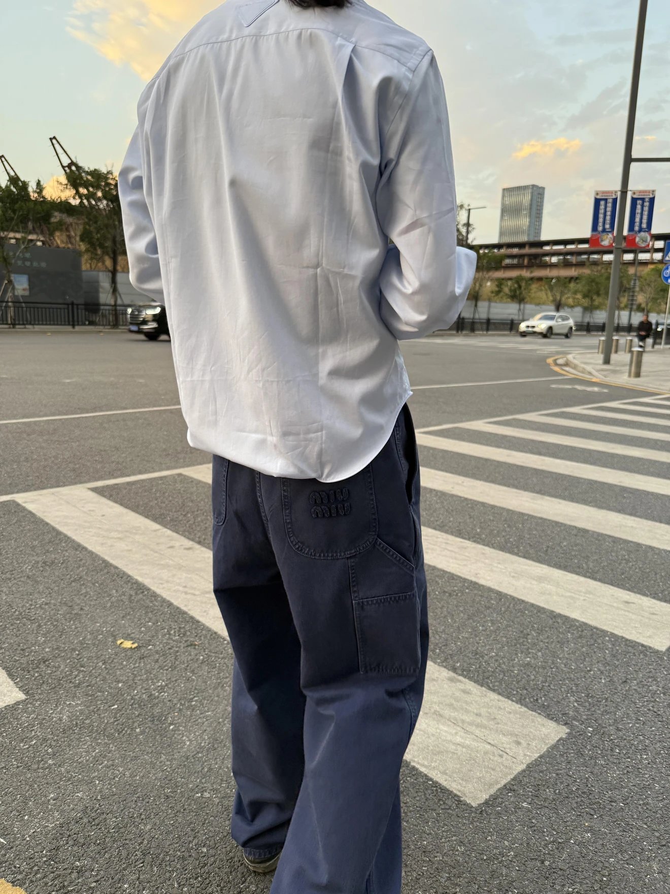 RD-C419 · Blue Carpenter Jeans showcase view 5