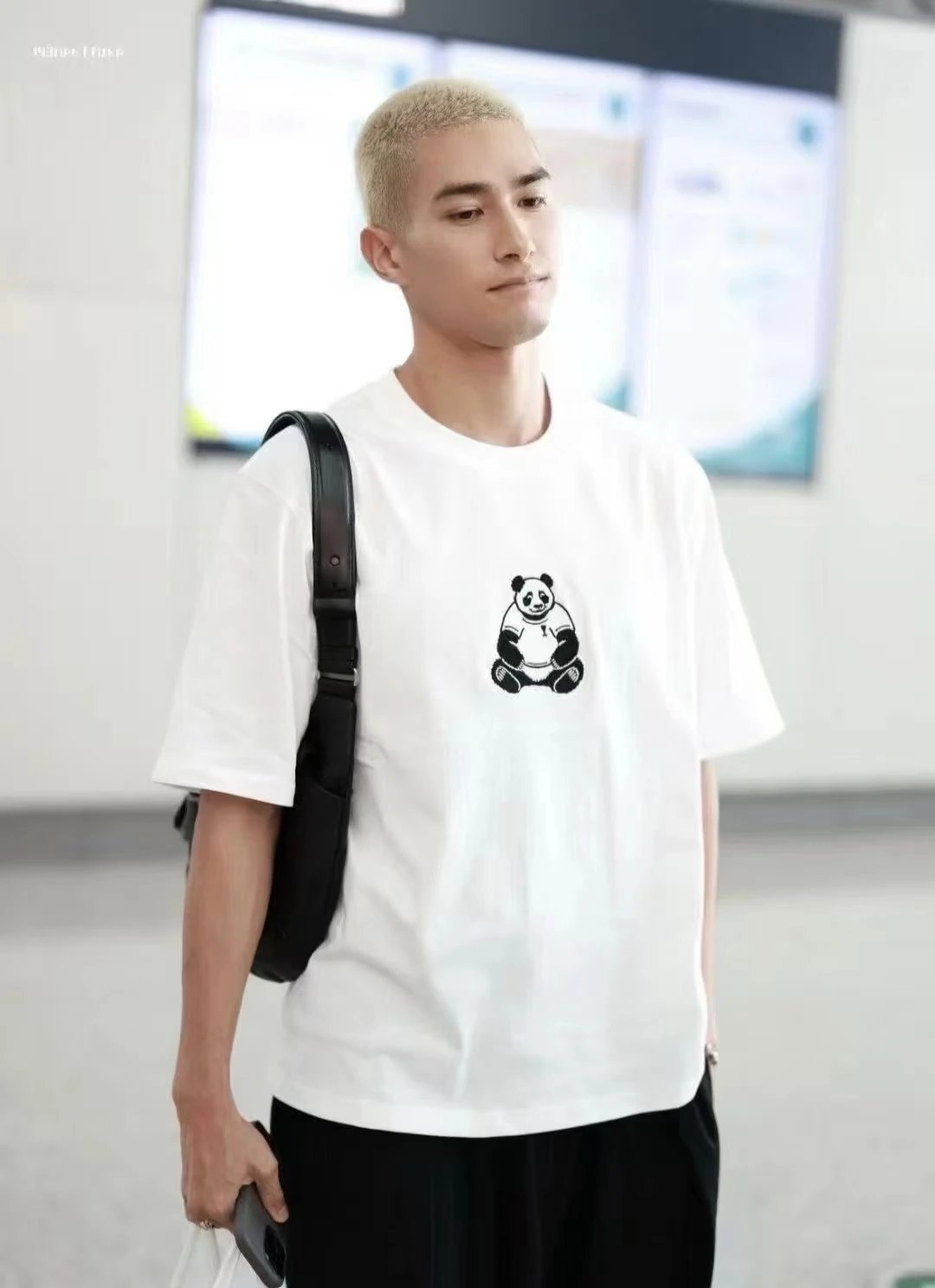 RD-C196 · Panda Embroidered T-Shirt showcase view 10