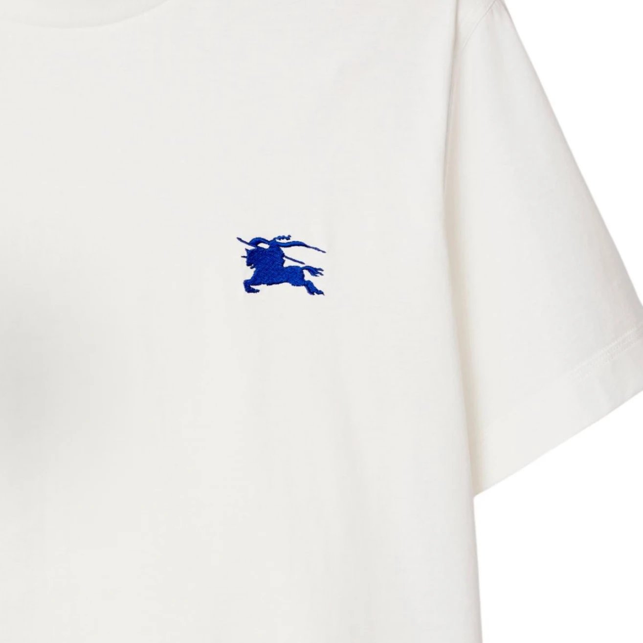 RD-C212 · Blue Equestrian Embroidery Mercerized Lyocell T-Shirt showcase view 3