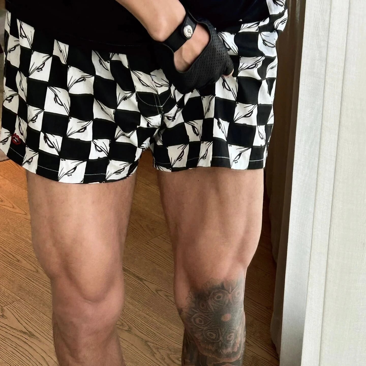 RD-C067 · Checkerboard Embroidered Shorts showcase view 2